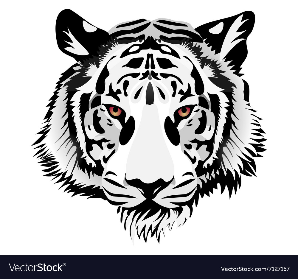 Tiger head Royalty Free Vector Image - VectorStock