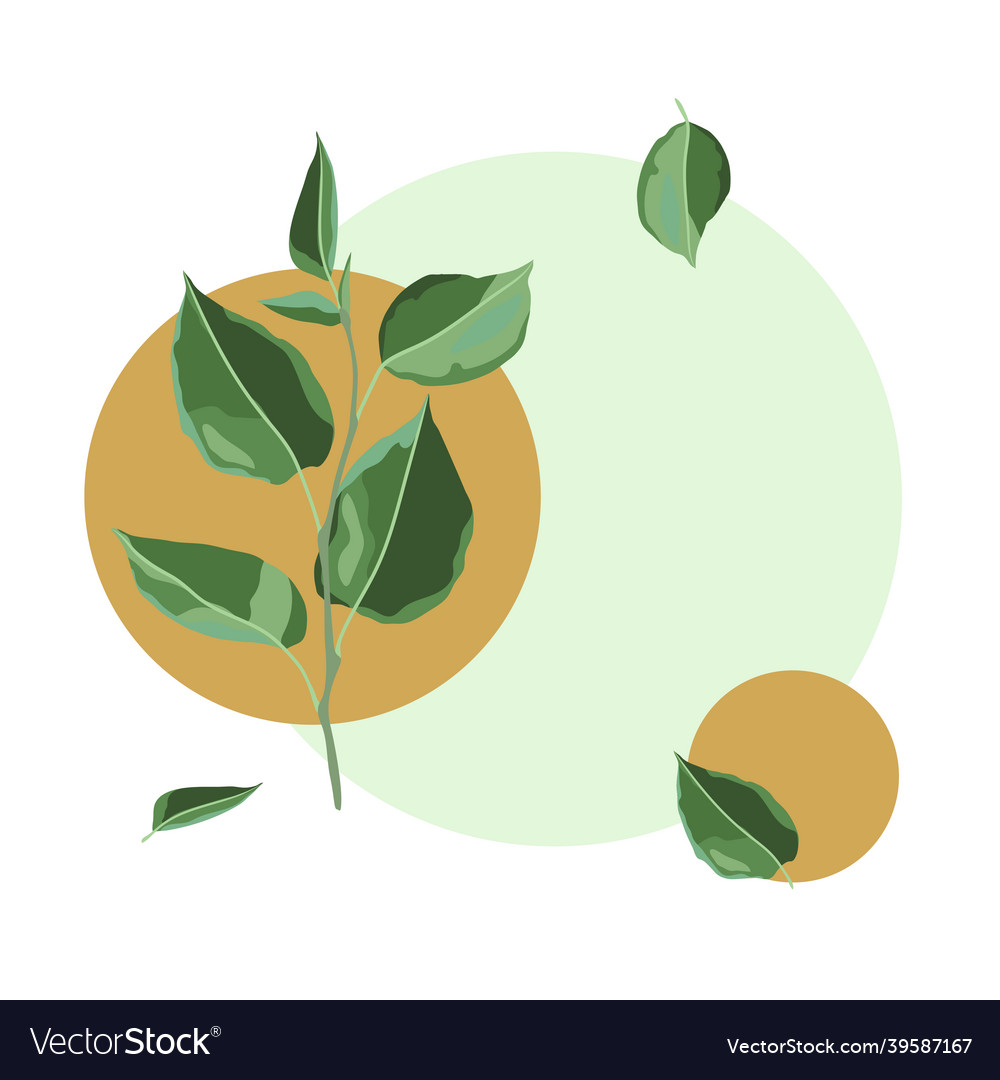 Card or print with branch and green leaves spring