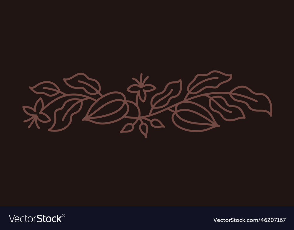 Chocolate design element for candy box cocoa bean