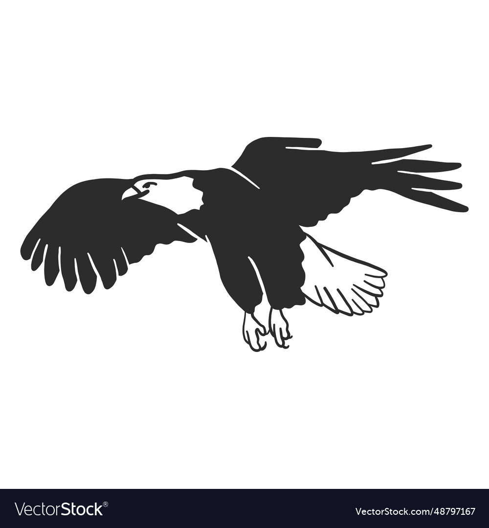 Eagle wing flying beak talon doodle bird Vector Image