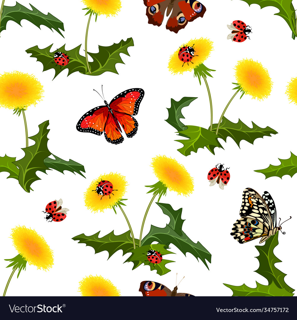 Colored pattern with dandelions and butterflies Vector Image Colored pattern with dandelions and butterflies