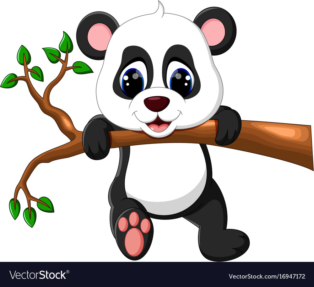 Cute Baby Panda Cartoon