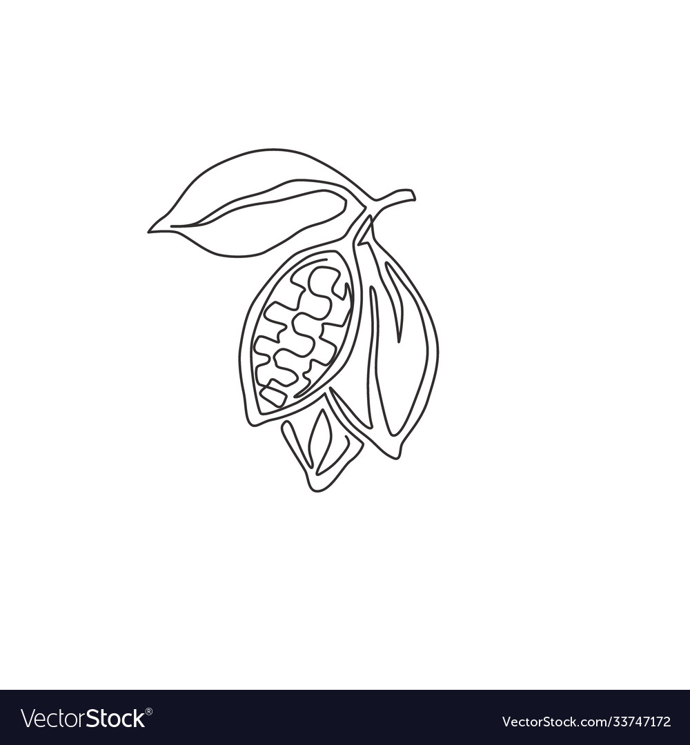 Single Line Cocoa Bean