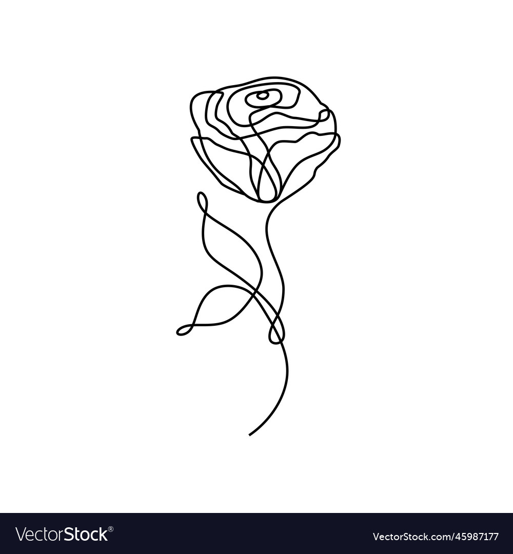 Rose Flower Line Art Of Minimalist Plant Vector Image