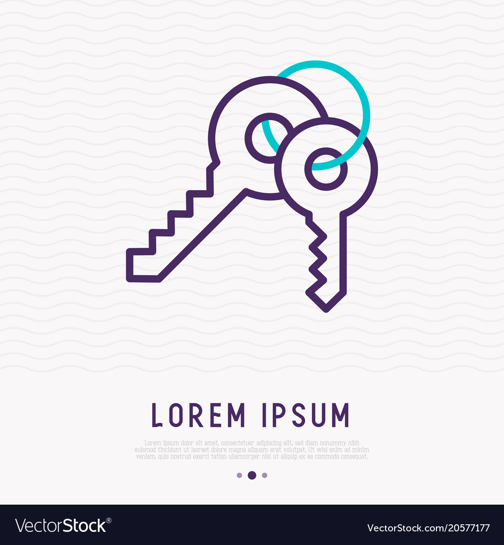 Set of Keys Thin Line Icon