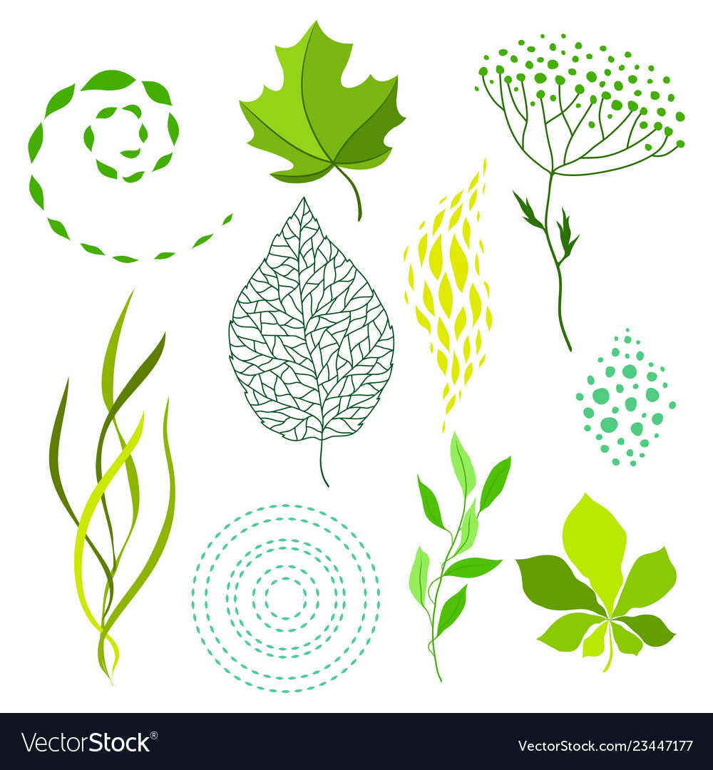 Set of various stylized green leaves and elements