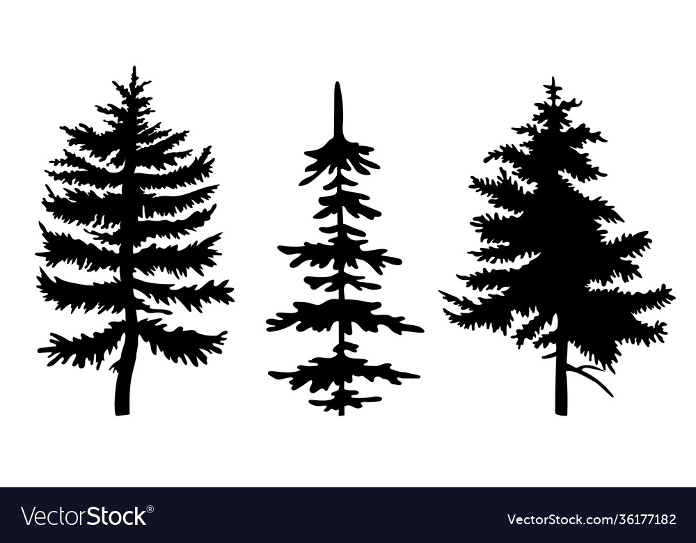 Set black fir-trees silhouettes three Royalty Free Vector