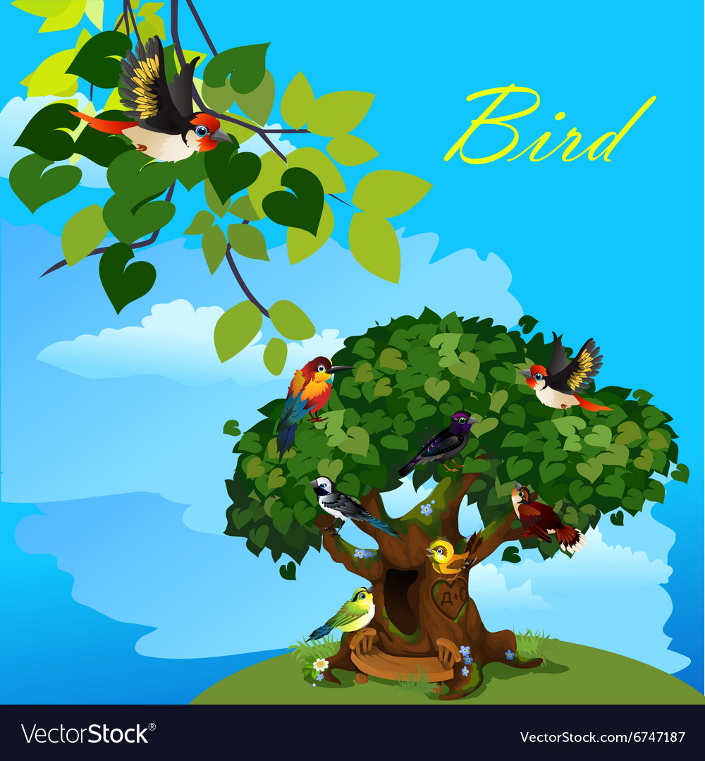 Colorful card with cute birds on the tree Vector Image