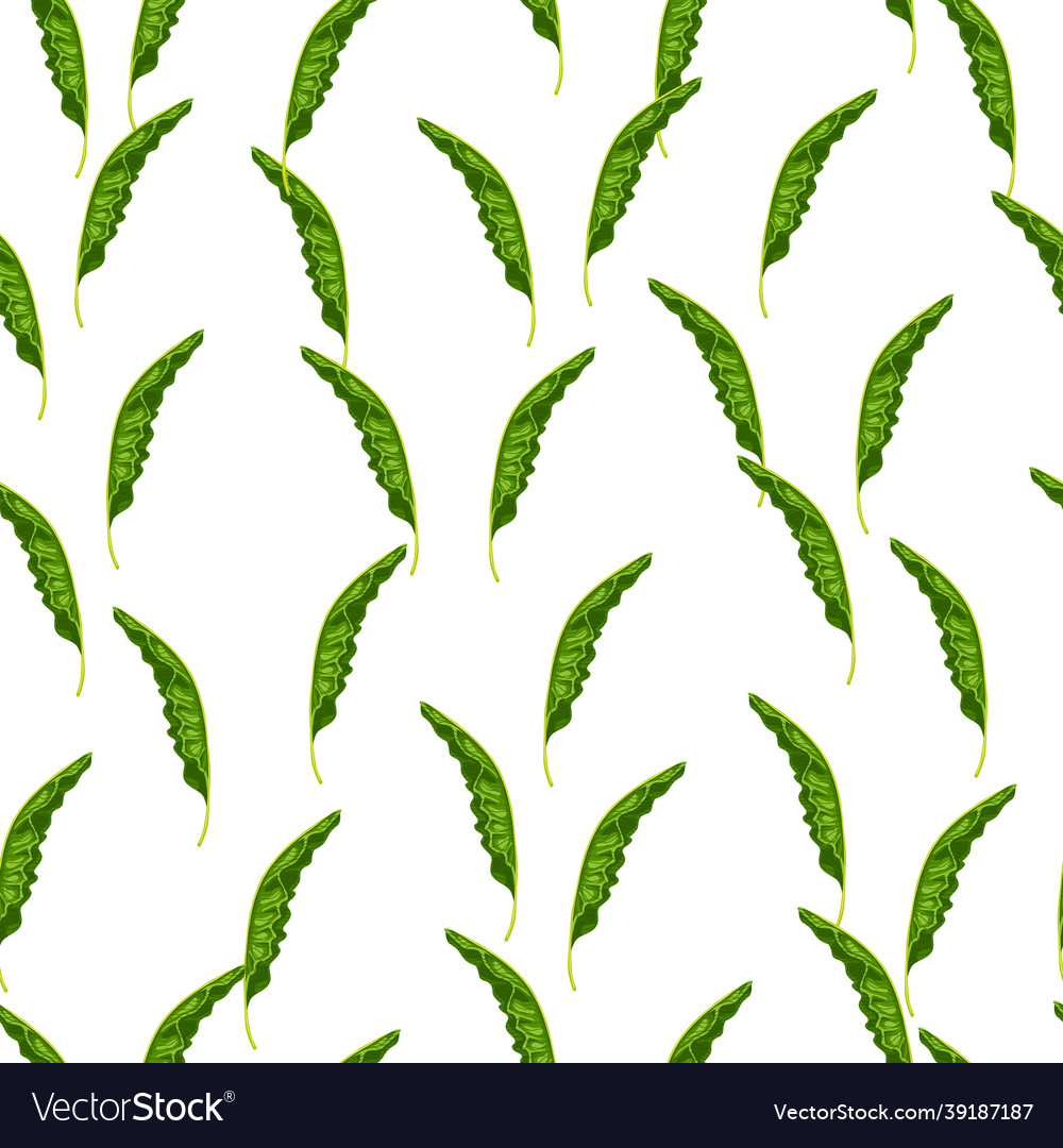 Seamless pattern with banana leaves print vector image Seamless pattern with banana leaves print