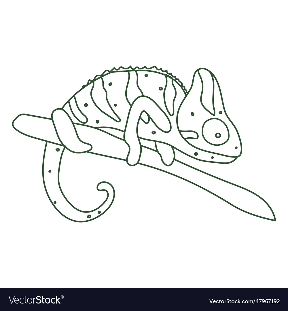 Chameleon on a branch profile continuous line