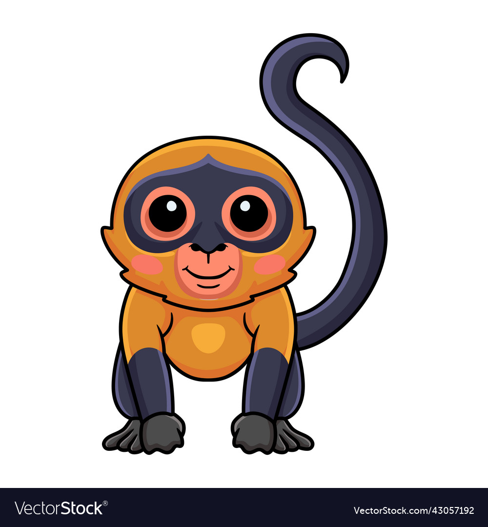 Cute spider monkey cartoon posing Royalty Free Vector Image