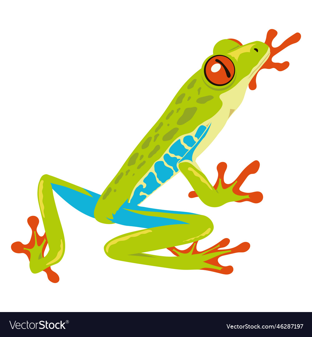 Green and blue frog amphibian Royalty Free Vector Image