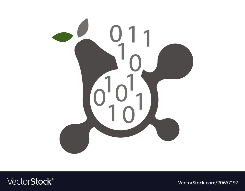 Pear program code connection vector image Pear program code connection