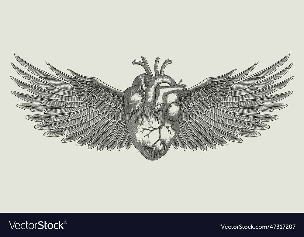 Heart with angel wings vintage engraving s Vector Image