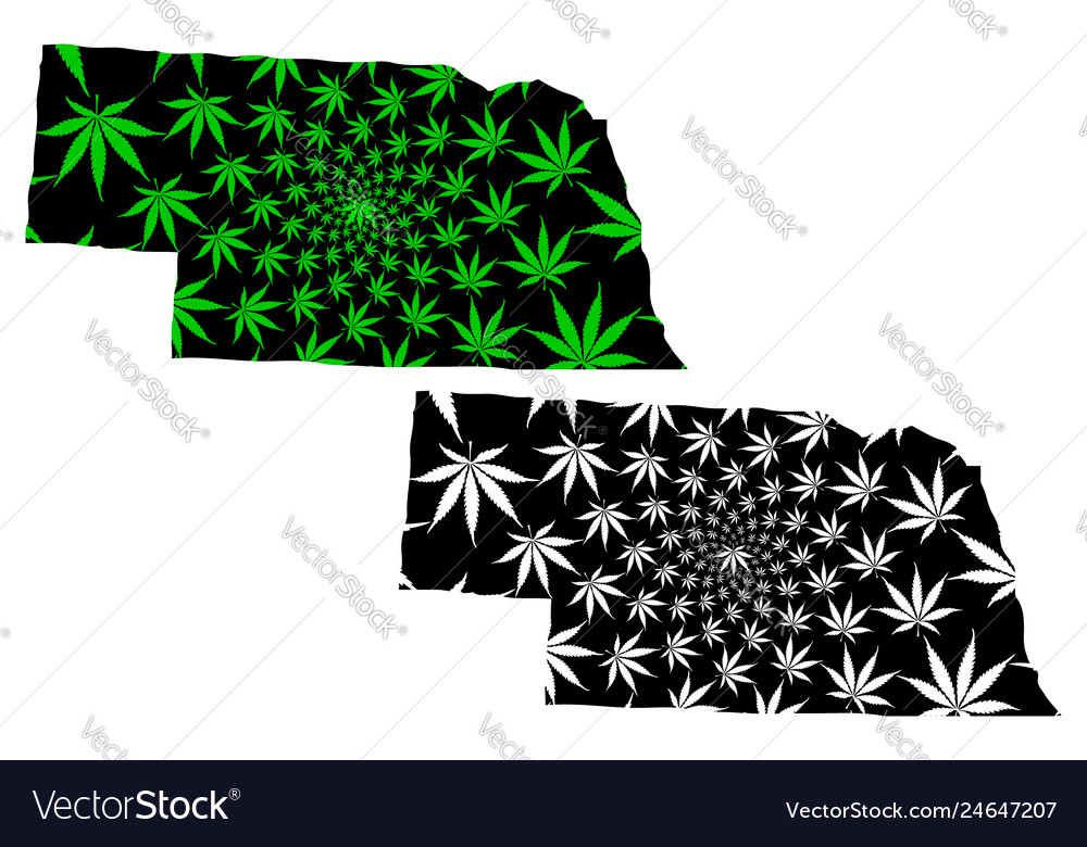 Nebraska - map is designed cannabis leaf