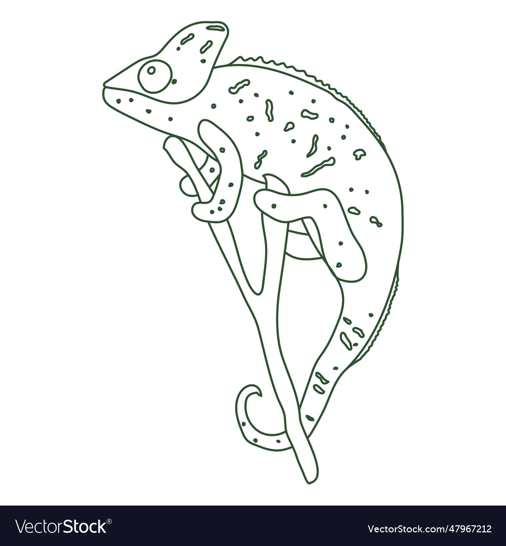 Chameleon standing on a branch continuous line
