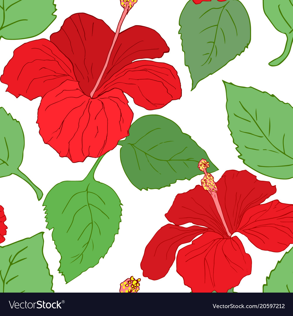 Seamless pattern with hibiscus