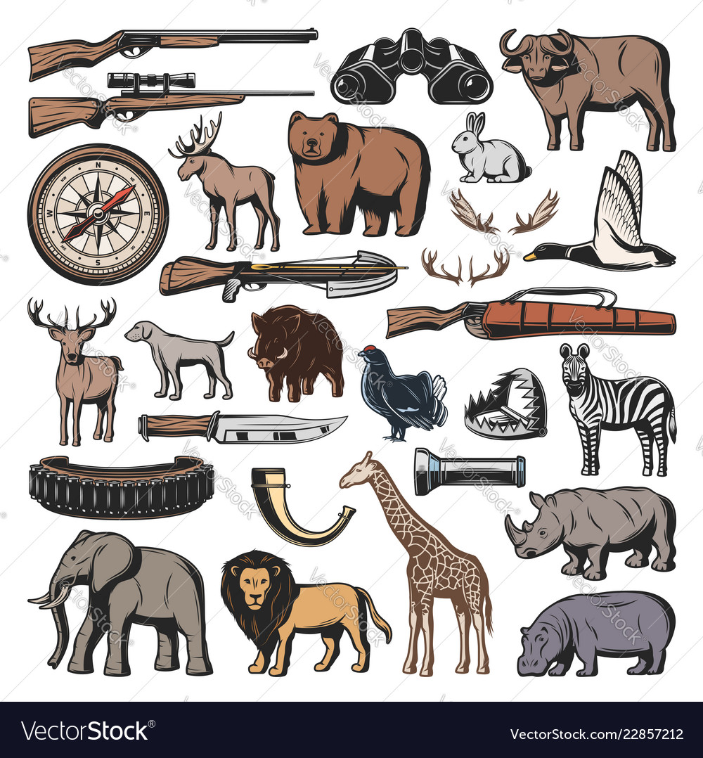 Weapon hunting sport wild animals Royalty Free Vector Image