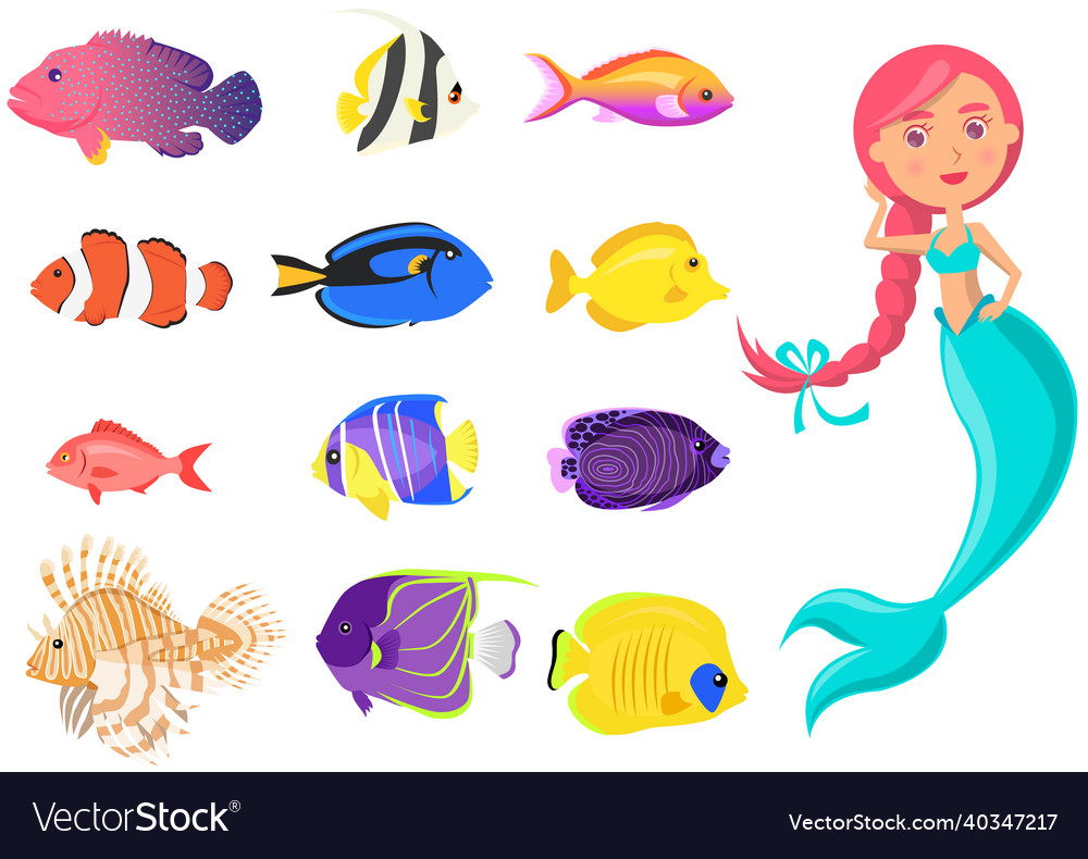 Mermaid with group of colored fish on white