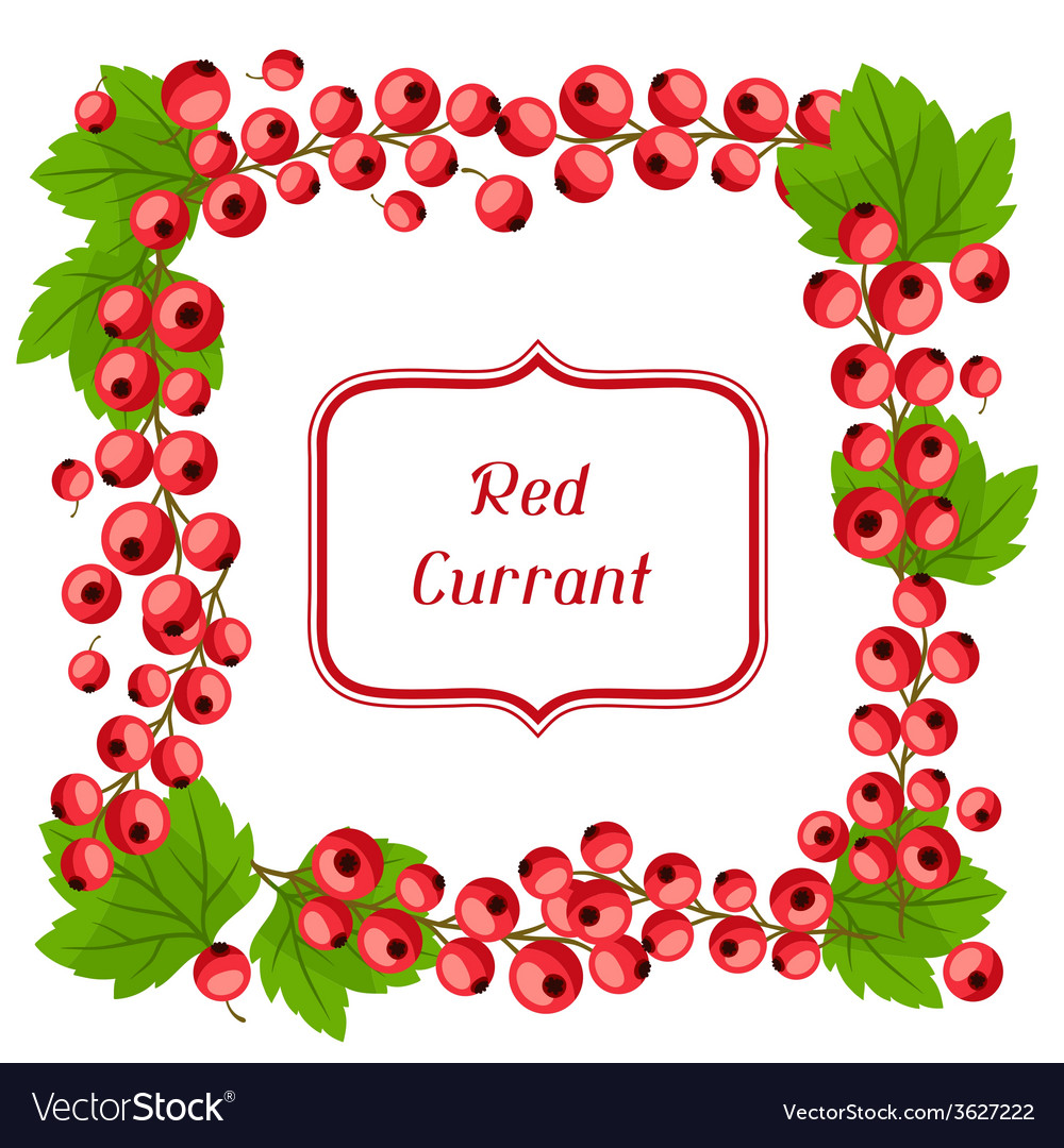 Nature background design with red currants