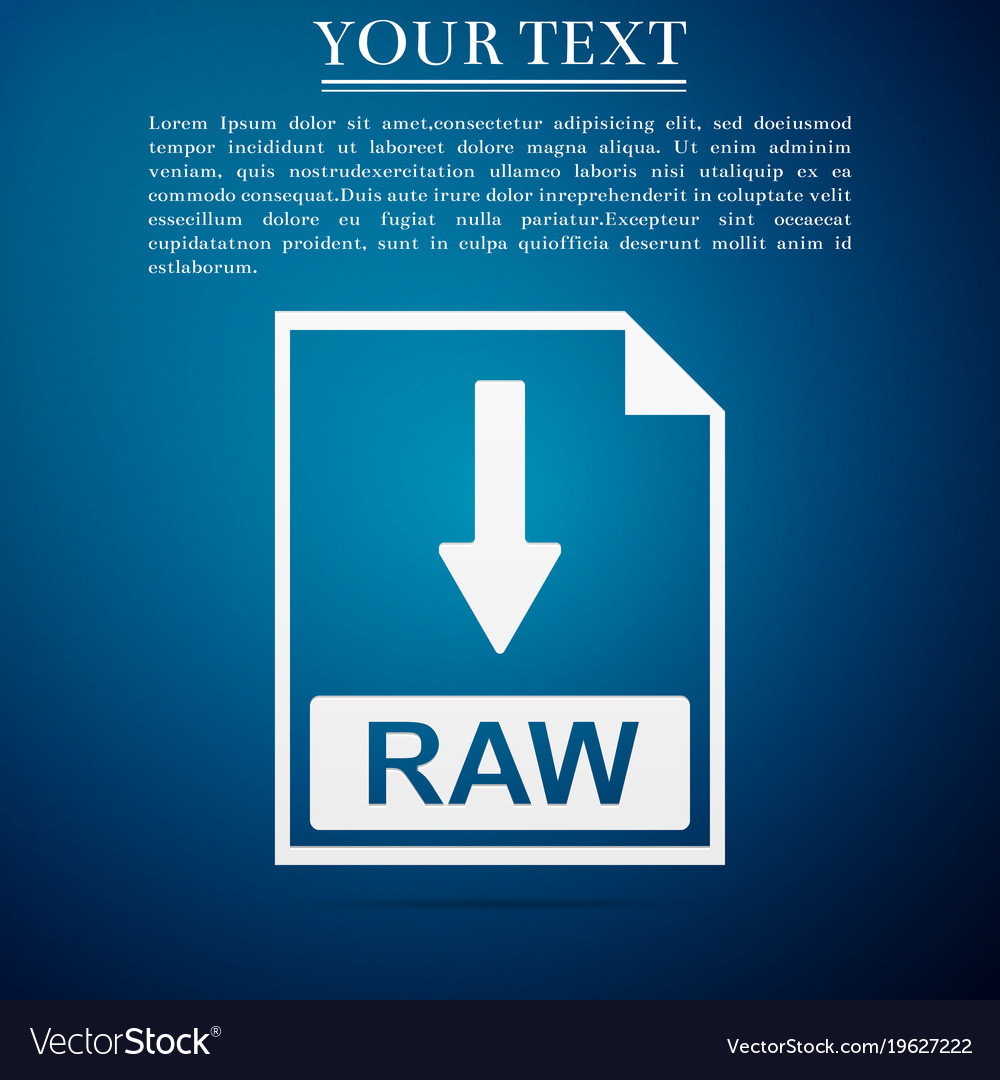 Raw file document icon download button