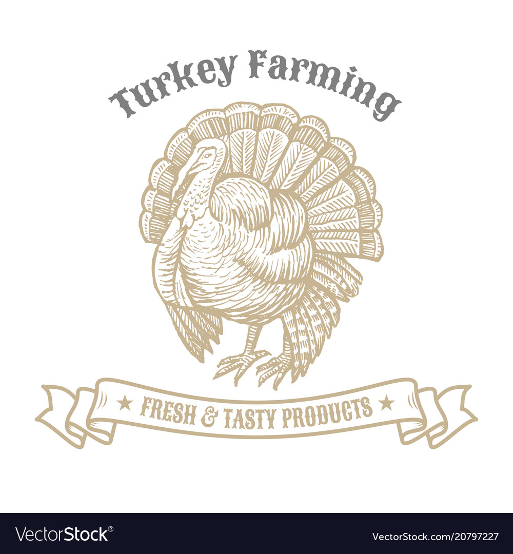 Isolated vintage gold emblem for farm with turkey