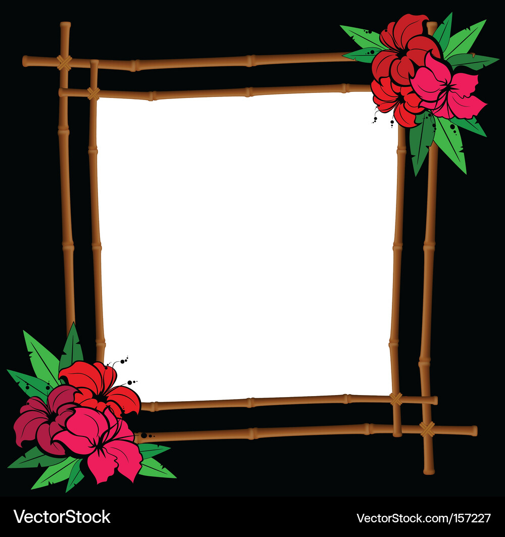 Tropical frame Royalty Free Vector Image - VectorStock