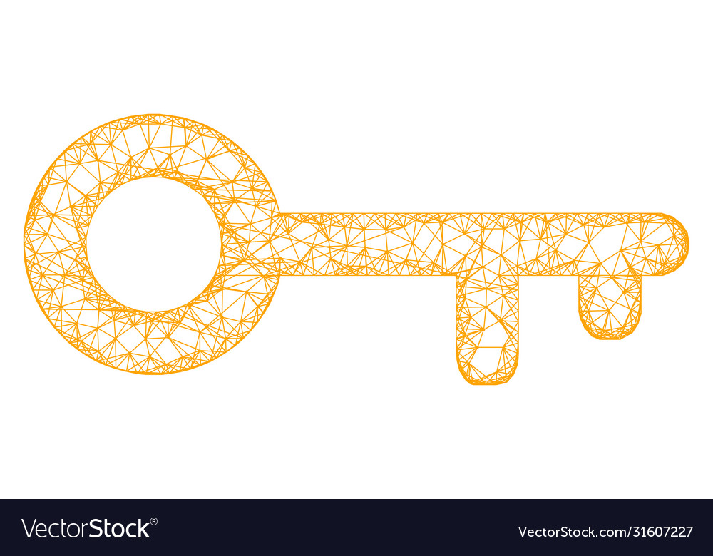 Web mesh key icon