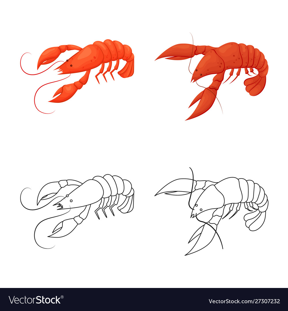 Isolated object appetizer and ocean icon