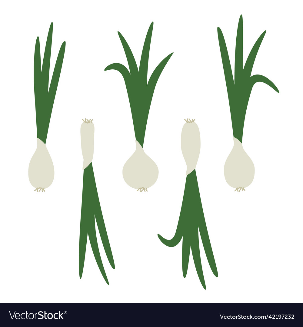 Onions