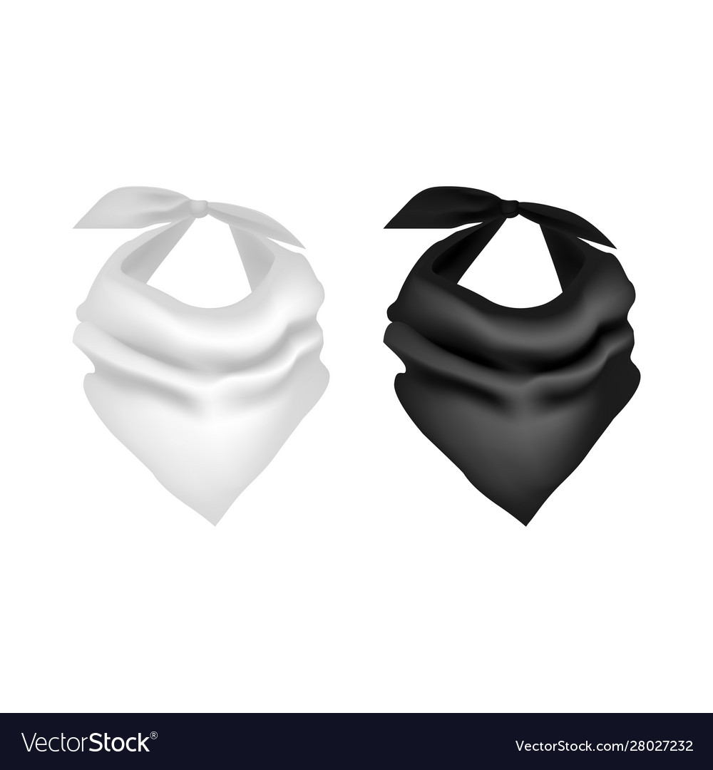 Realistic detailed 3d black and white neck scarf vector image Realistic detailed 3d black and white neck scarf