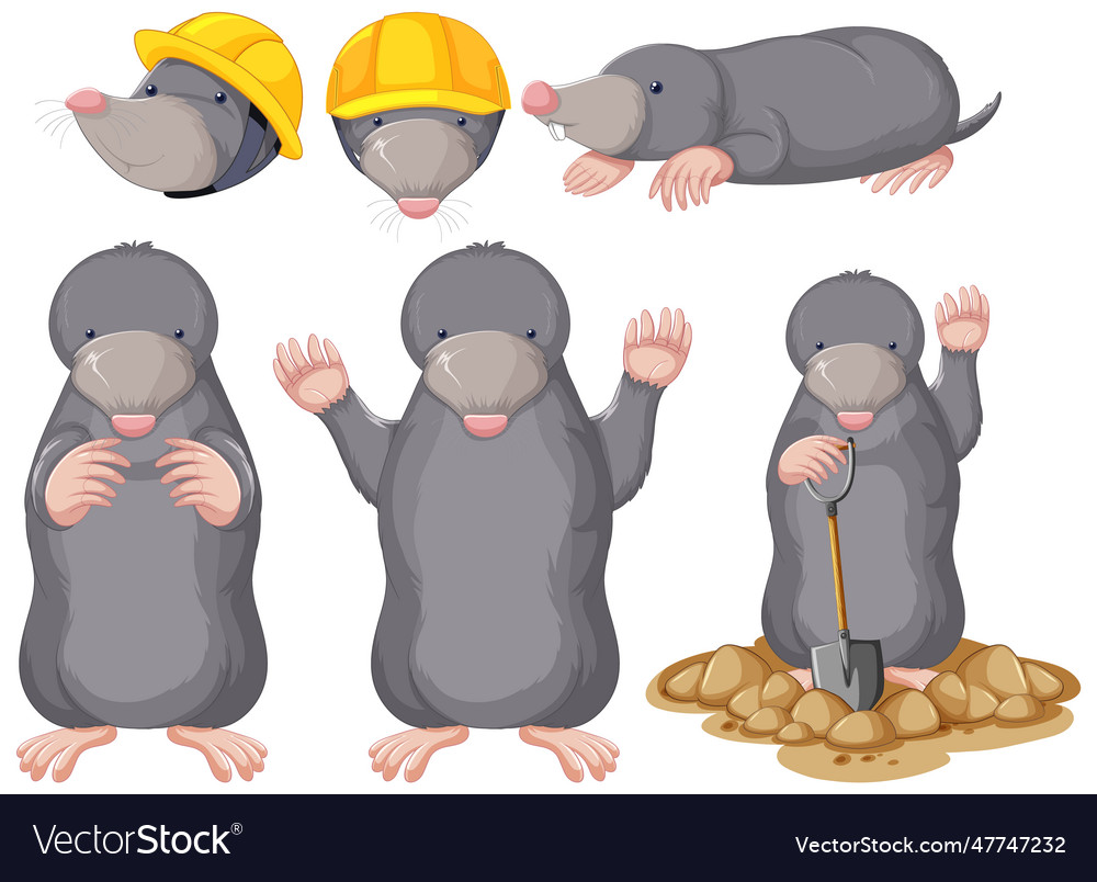 Set of moles cartoon character Royalty Free Vector Image