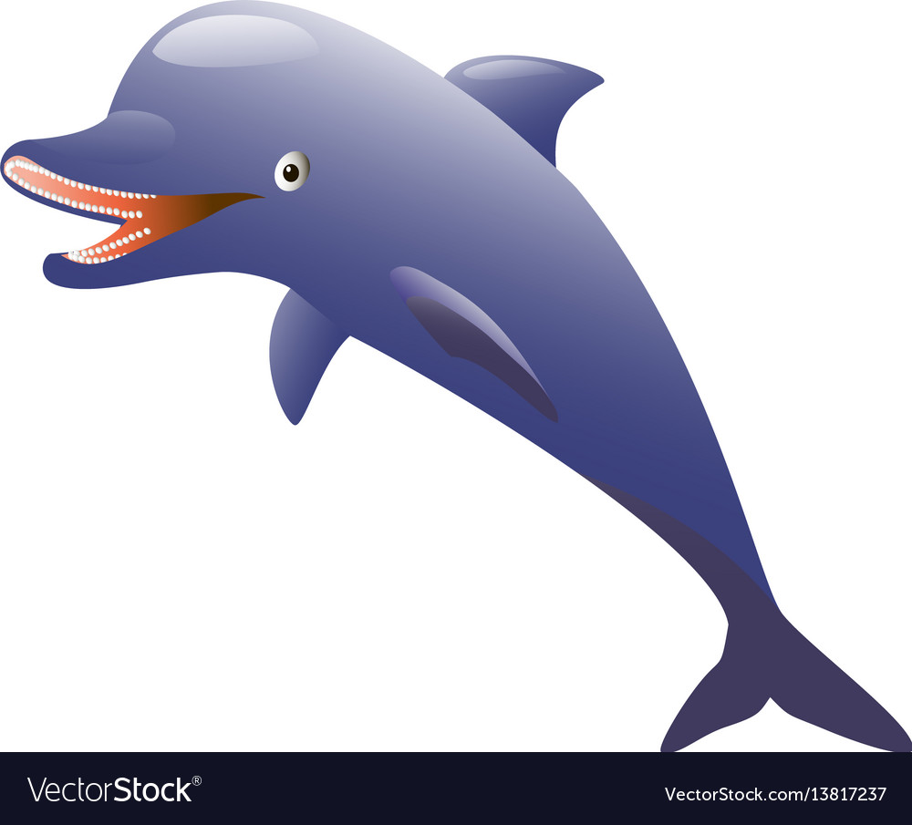 Isolated dolphin on white background