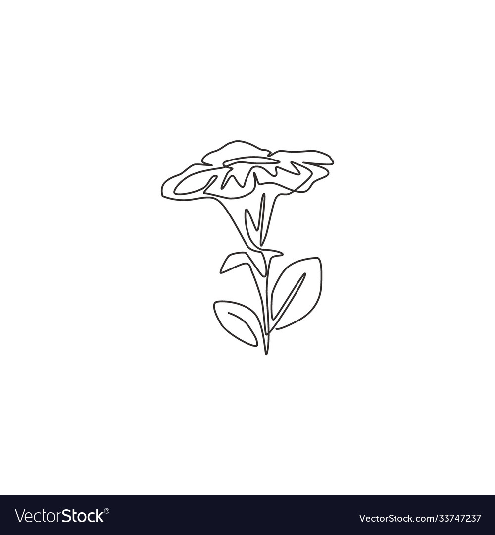 One Single Line Drawing Beauty Fresh Royalty Free Vector