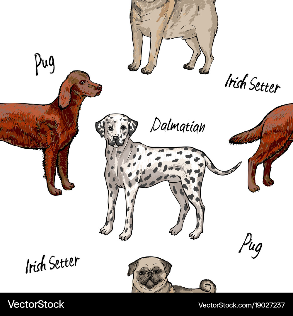 Seamless pattern with dogs Royalty Free Vector Image