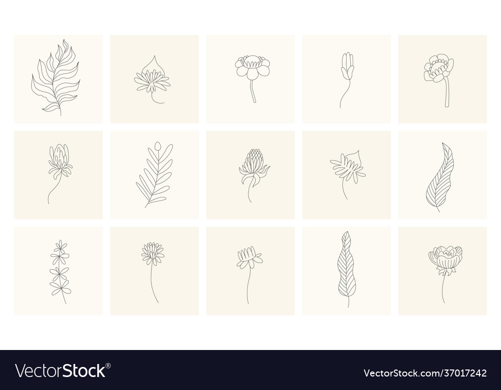 Floral elements collection hand drawn plants