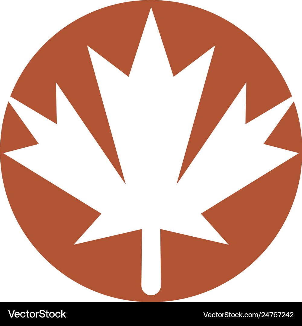 Maple leaf Royalty Free Vector Image - VectorStock