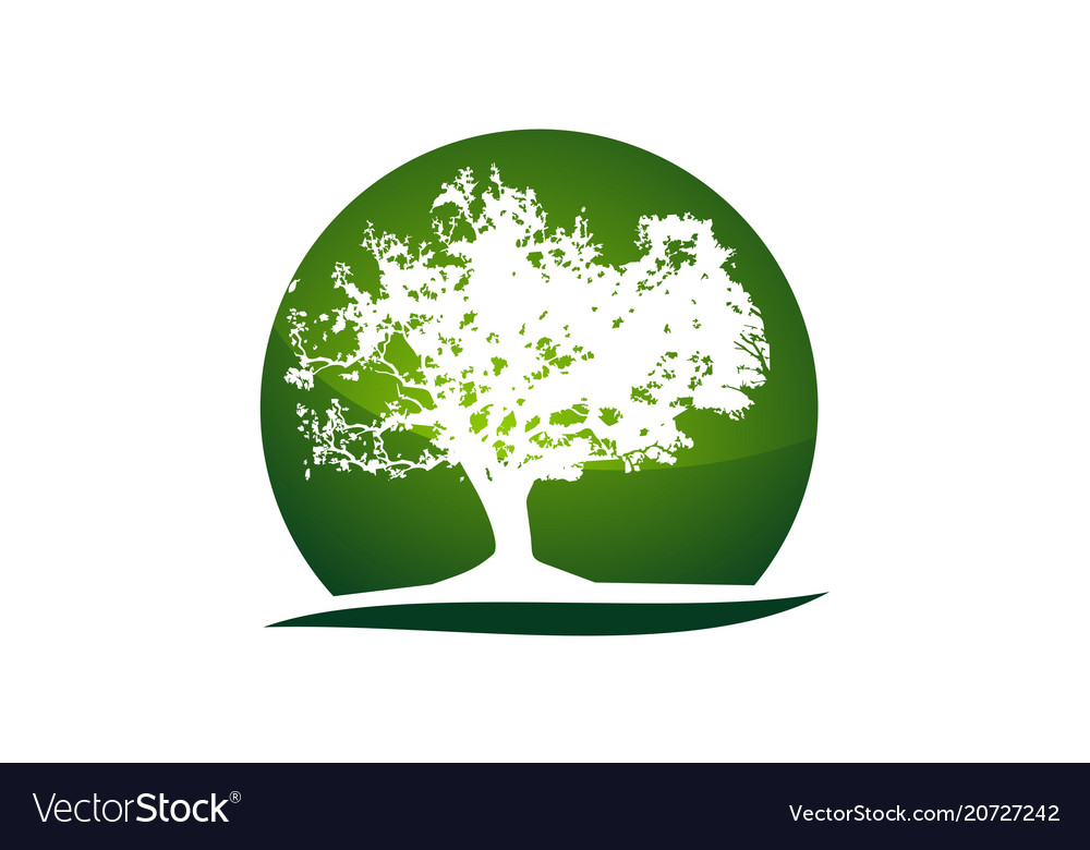 Oak tree logo design template Royalty Free Vector Image