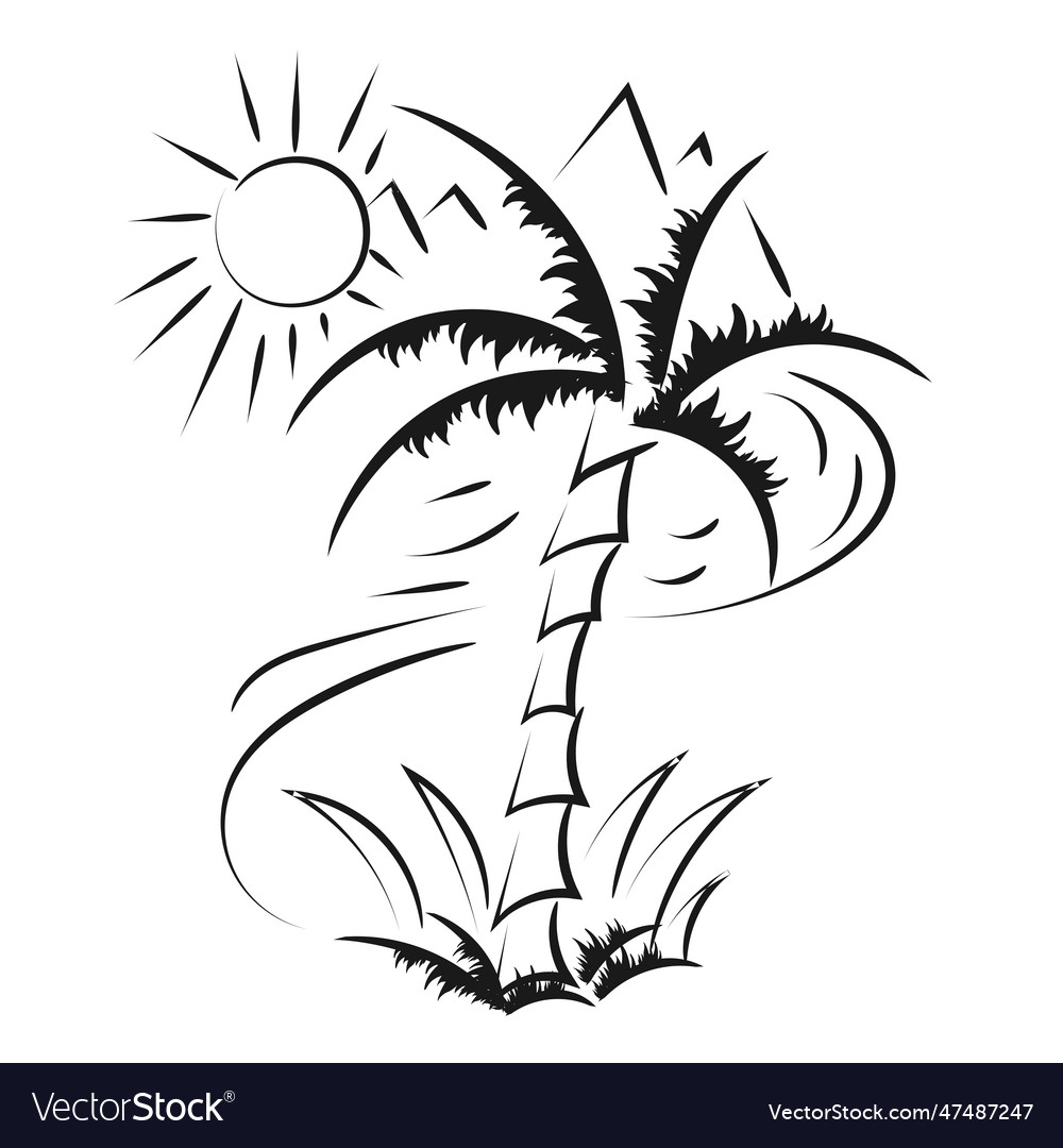 Palm tree line drawing for print vector image Palm tree line drawing for print