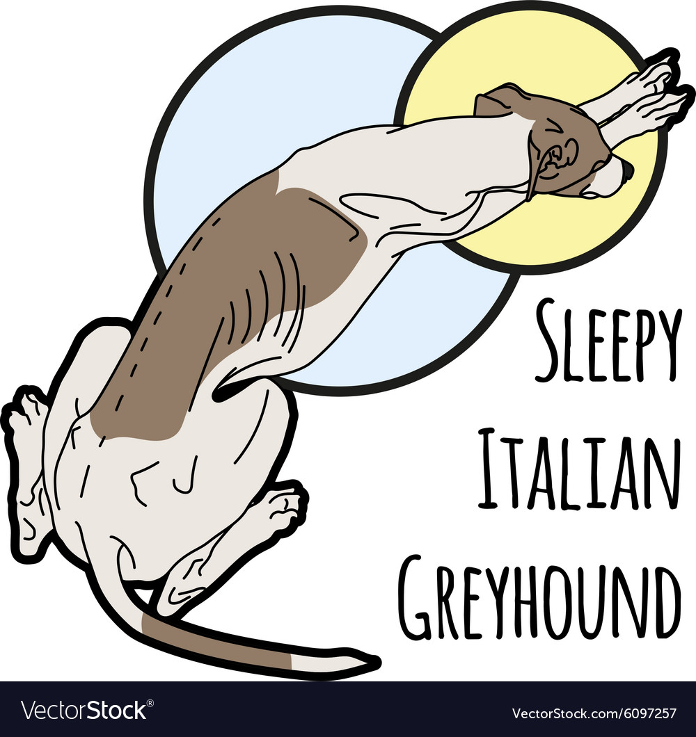 a-sleeping-italian-royalty-free-vector-image-vectorstock