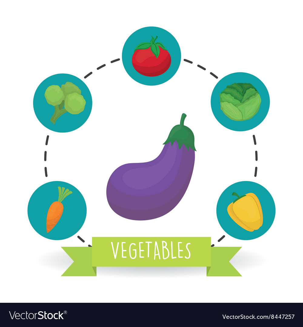 Vegetable design over white background