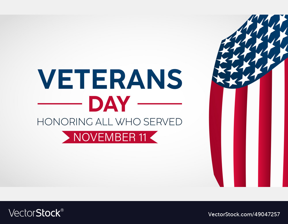 Veterans day tribute with american flag saluting Vector Image