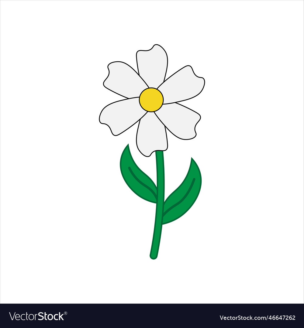 Plant flower leaf Royalty Free Vector Image - VectorStock