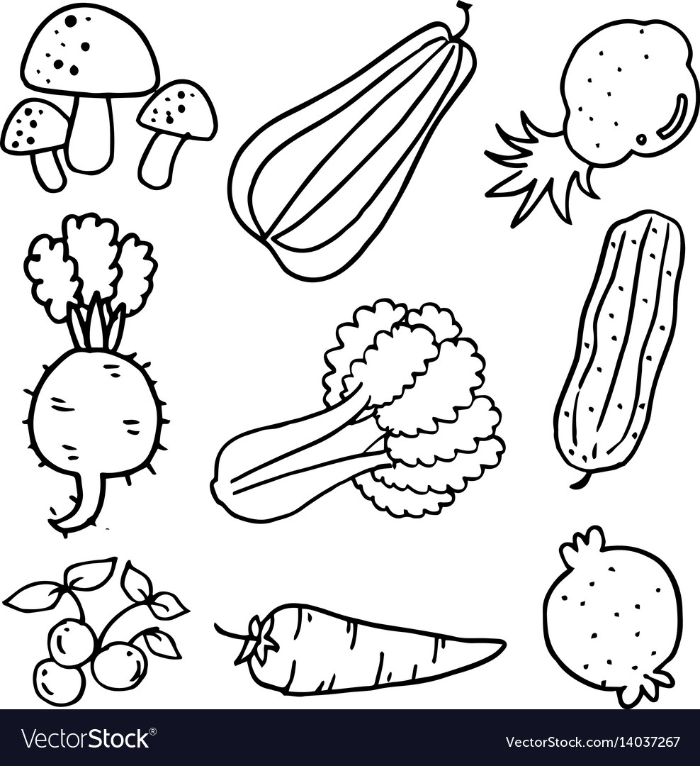 Doodle vegetables set Royalty Free Vector Image