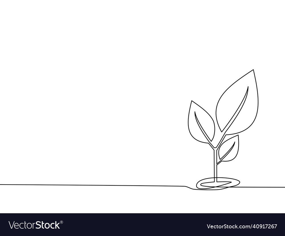 Draw a continuous line of the growing tree