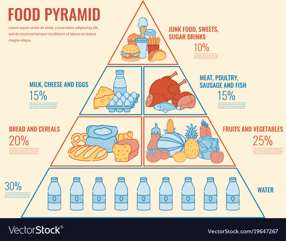 Food pyramid healthy eating infographic healthy Vector Image