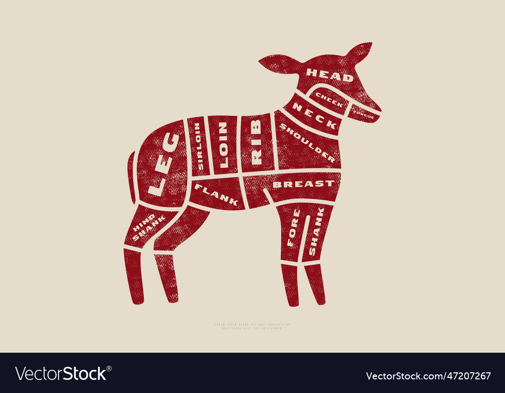 Stock lamb cuts diagram in flat style Royalty Free Vector