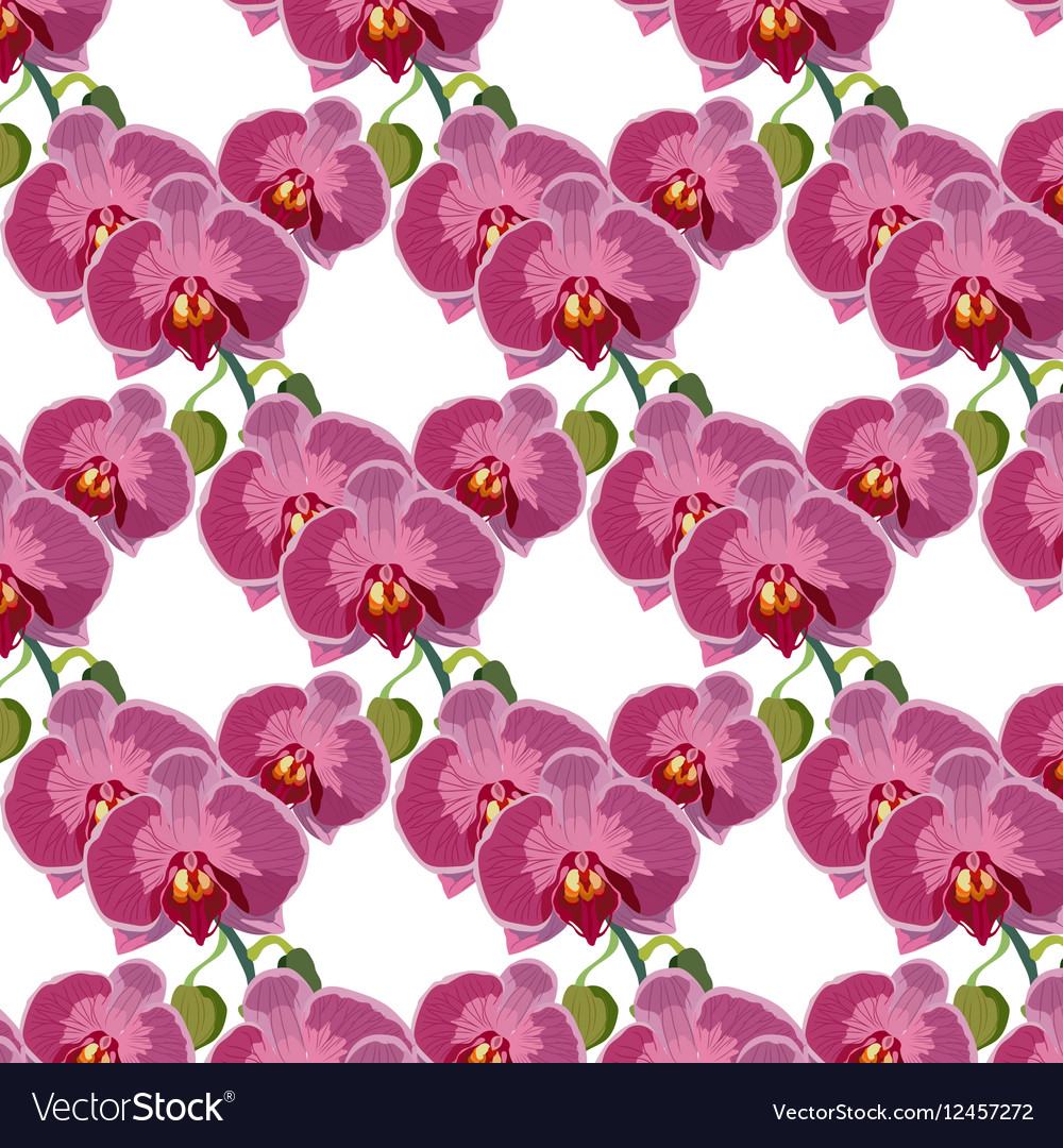 Wasserfarbe Orchid Blumen