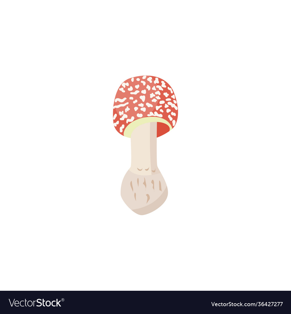 Forest fly agaric mushroom sign or symbol flat