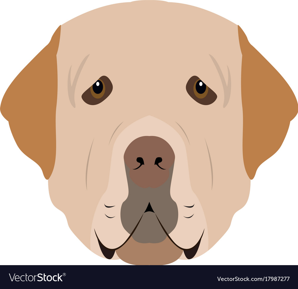 Isolated golden retriever avatar